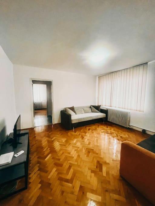 Ultracentral Big Flat Near The Opera Square P17 Temesvár Kültér fotó