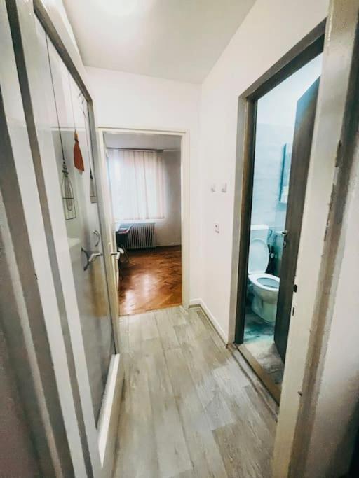 Ultracentral Big Flat Near The Opera Square P17 Temesvár Kültér fotó
