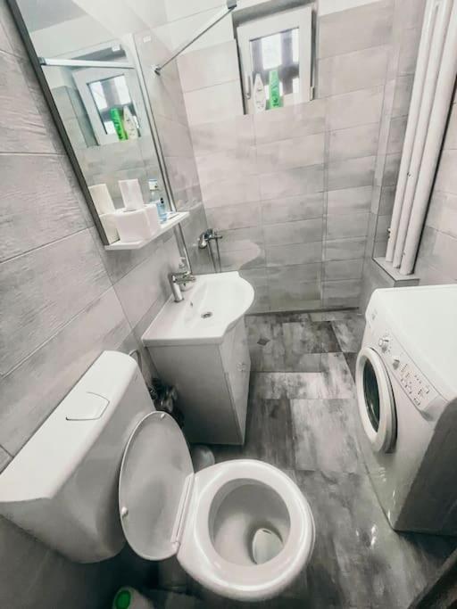 Ultracentral Big Flat Near The Opera Square P17 Temesvár Kültér fotó