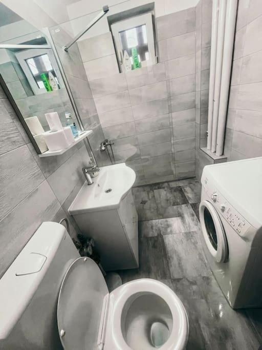 Ultracentral Big Flat Near The Opera Square P17 Temesvár Kültér fotó