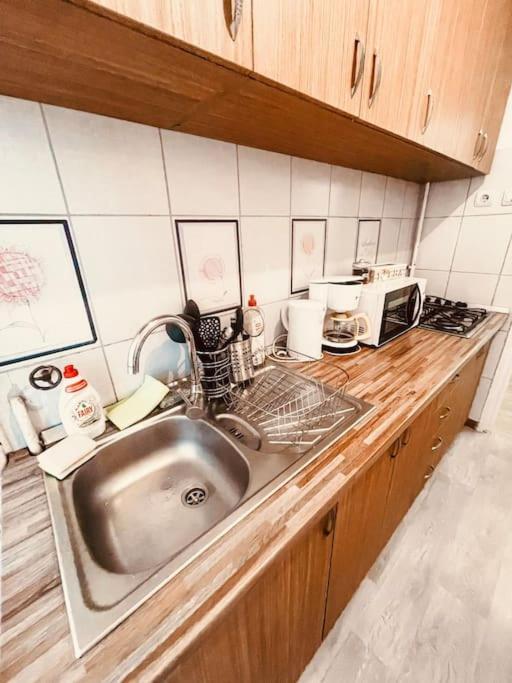 Ultracentral Big Flat Near The Opera Square P17 Temesvár Kültér fotó