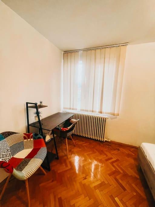 Ultracentral Big Flat Near The Opera Square P17 Temesvár Kültér fotó