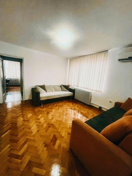 Ultracentral Big Flat Near The Opera Square P17 Temesvár Kültér fotó