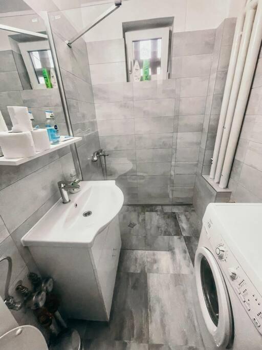 Ultracentral Big Flat Near The Opera Square P17 Temesvár Kültér fotó